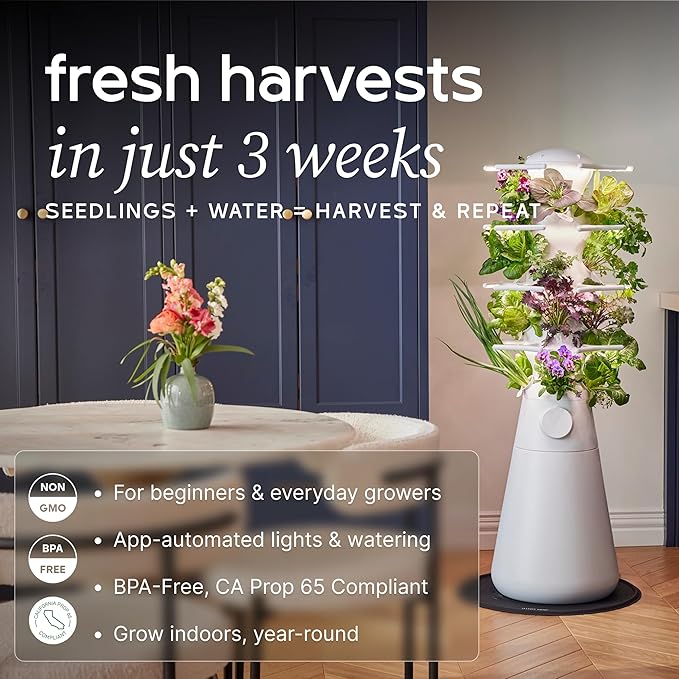 Smart Self-Watering Herb Garden